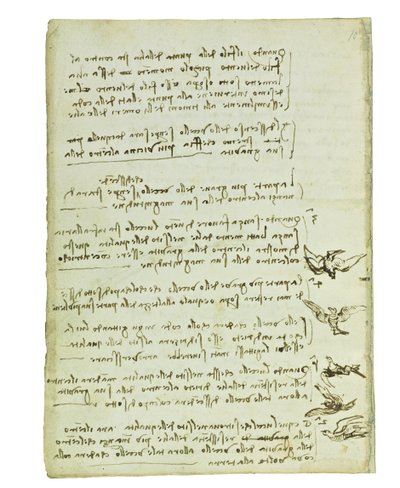 Códice sobre el vuelo de los pájaros, Folio 7 verso de Leonardo da Vinci